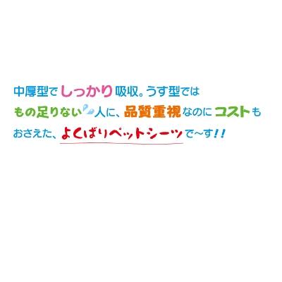 ふるさと納税 観音寺市 エコサラ・シート　レギュラー90枚×8個 |  | 01