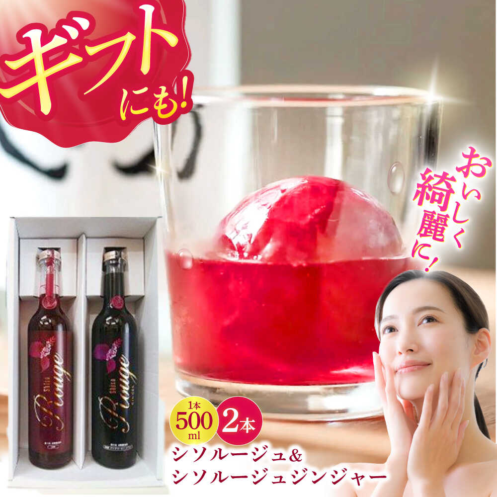 【ふるさと納税】【最速発送】シソルージュ500ml ＆ シソルージュジンジャー500ml セット / 紫蘇 しそ シソ 赤しそ しそジュース / 松尾農園 [AHAY001] 最短 最速 スピード 発送