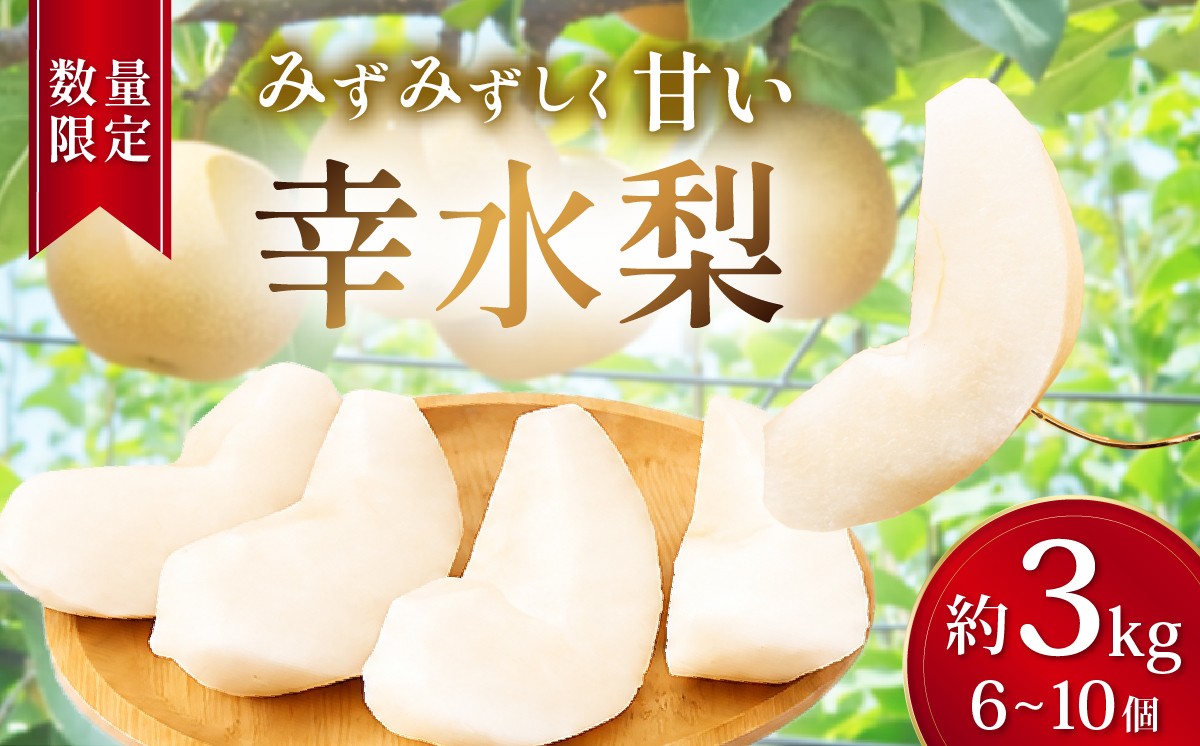 
                  梨 幸水 約3kg 6玉～10玉  2026年 先行予約 数量限定 | 梨 フルーツ 果物 幸水 和梨 産地直送 限定品 贈り物 新鮮 お取り寄せ デザート ギフト 風味豊か 香り 上品 甘い 限定 果樹 旬 ジューシー みずみずしい 高糖度 季節のフルーツ 埼玉県 久喜市
                