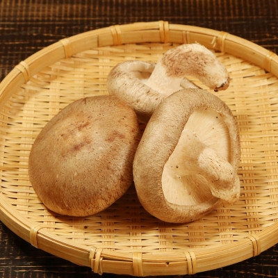 
                  ＜毎月定期便＞肉厚!あらかわ生しいたけ特選プレミアム全12回【4083715】
                