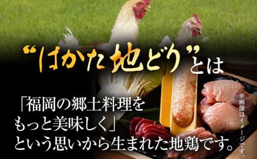 はかた地どりモモムネセット2kg（1kg×2p） お取り寄せグルメ お取り寄せ お土産 九州 福岡土産 取り寄せ グルメ MEAT PLUS CP036