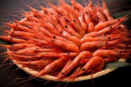[D023] 【1～10月発送】獲れたて鮮度抜群！姫丸の子持ち甘エビ40匹丸ごと昆布〆