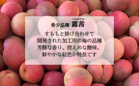 梅農園ドリンク 塩分プラス 180ml×6本 手提箱入り
