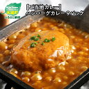 【ふるさと納税】【レビューキャンペーン対象】【ご当地カレー】ハンバーグカレー 9パック - きじょん山豚ハンバーグ入り レトルトカレー 温めるだけ レトルト食品 湯煎調理 常温保存可能 簡易包装 お惣菜 ハンバーグ カレー 送料無料 【宮崎県木城町】