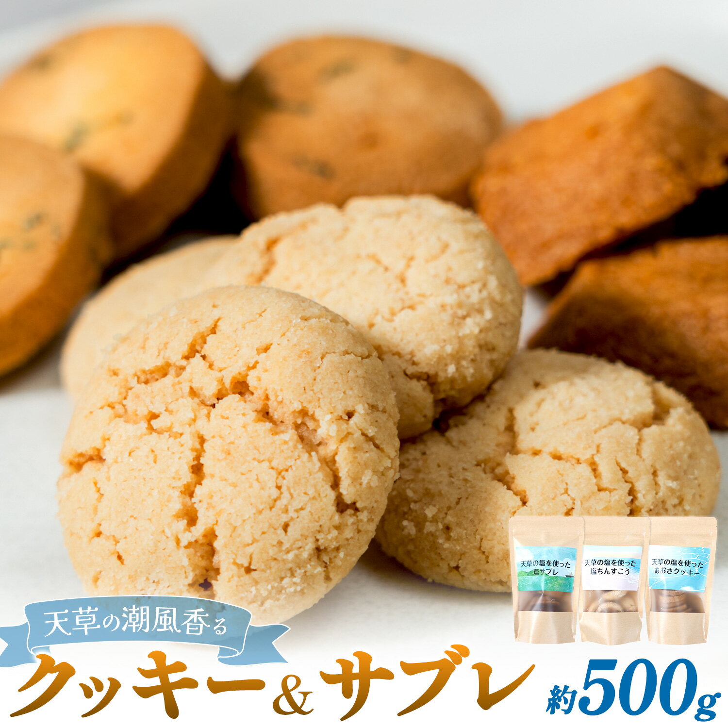 【ふるさと納税】 クッキーサブレセット 各約170g×3種 計約500g 株式会社かねこ《30日以内に出荷予定(土日祝除く)》 熊本県 苓北町 お菓子 クッキー サブレ 塩 あおさ 天草 焼菓子 スイーツ おやつ バター 送料無料