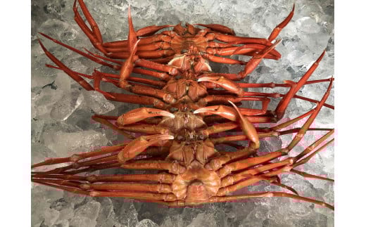 【訳あり 数量限定 期間限定】　脚折れ紅ズワイガニ（合計1.5kg）