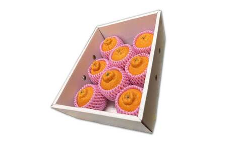 B341-14 不知火（3kg）