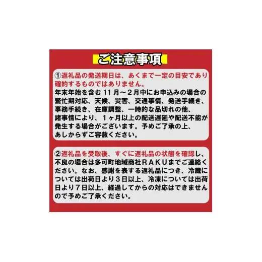 ランチペアチケット [299]
