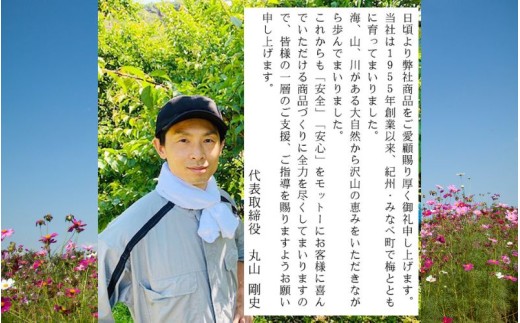 紀州南高梅 はちみつ梅干し 大粒 みつ大玉 塩分8％ 800g  ｜ 和歌山県産 みなべ町 紀州南高梅 梅干し 梅干 うめぼし はちみつ梅 大玉 【mryms001B】