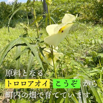 ふるさと納税 柳津町 【日本の文化を応援!】柳津の伝統和紙「野老沢和紙」【A3サイズ×10枚セット】 |  | 02