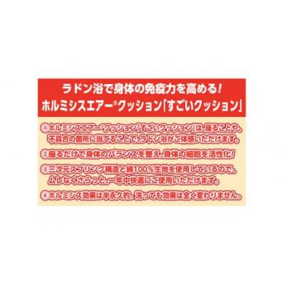 ふるさと納税 玖珠町 ホルミシスエアー すごいクッション |  | 02