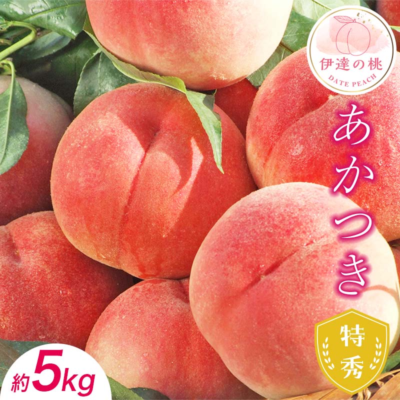 【2026年出荷分先行予約】福島県産 特秀 あかつき 約5kg (15～18玉) ふくしま未来農業協同組合 特秀 透過式光センサー選別 糖度12度以上 伊達の桃 桃 フルーツ 果物 もも モモ momo F20C-125