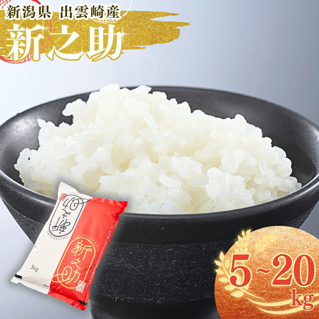【ふるさと納税】【令和7年産新米】 「新之助」 5kg～20kg 新潟県産 出雲崎町産 白米 精米 お米