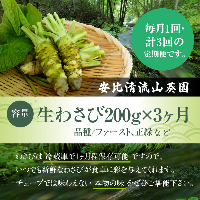 生わさび 200g 定期便3ヶ月 【安比清流山葵園】 ／ わさび 山葵 ワサビ 生山葵 生ワサビ 新鮮 薬味 産地直送 国産 岩手県産