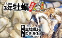 【ふるさと納税】むき身牡蠣 1kg (500g×2p) ＋ 殻付き牡蠣 Lサイズ 3個 セット 3年牡蠣 横綱牡蠣の 吉田水産 [ かき カキ 大粒 むき身 殻付き 冷蔵 個数限定 数量限定 旬 料理 鍋 牡蠣鍋 アヒージョ カキフライ 牡蠣ご飯 ギフト プレゼント 贈答品 三陸 岩手 陸前高田 ]