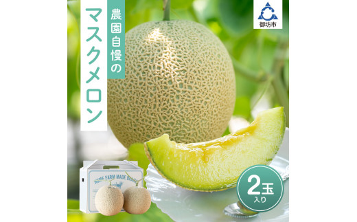 農園自慢の『マスクメロン』（アールスメロン）×2玉入り《先行予約》2027年6月下旬から順次発送【配送不可地域：北海道、沖縄県、青森県、秋田県、岩手県、離島】高級 めろん メロン 期間限定 味自慢 甘い あまい 豊かな香り 濃厚 新鮮