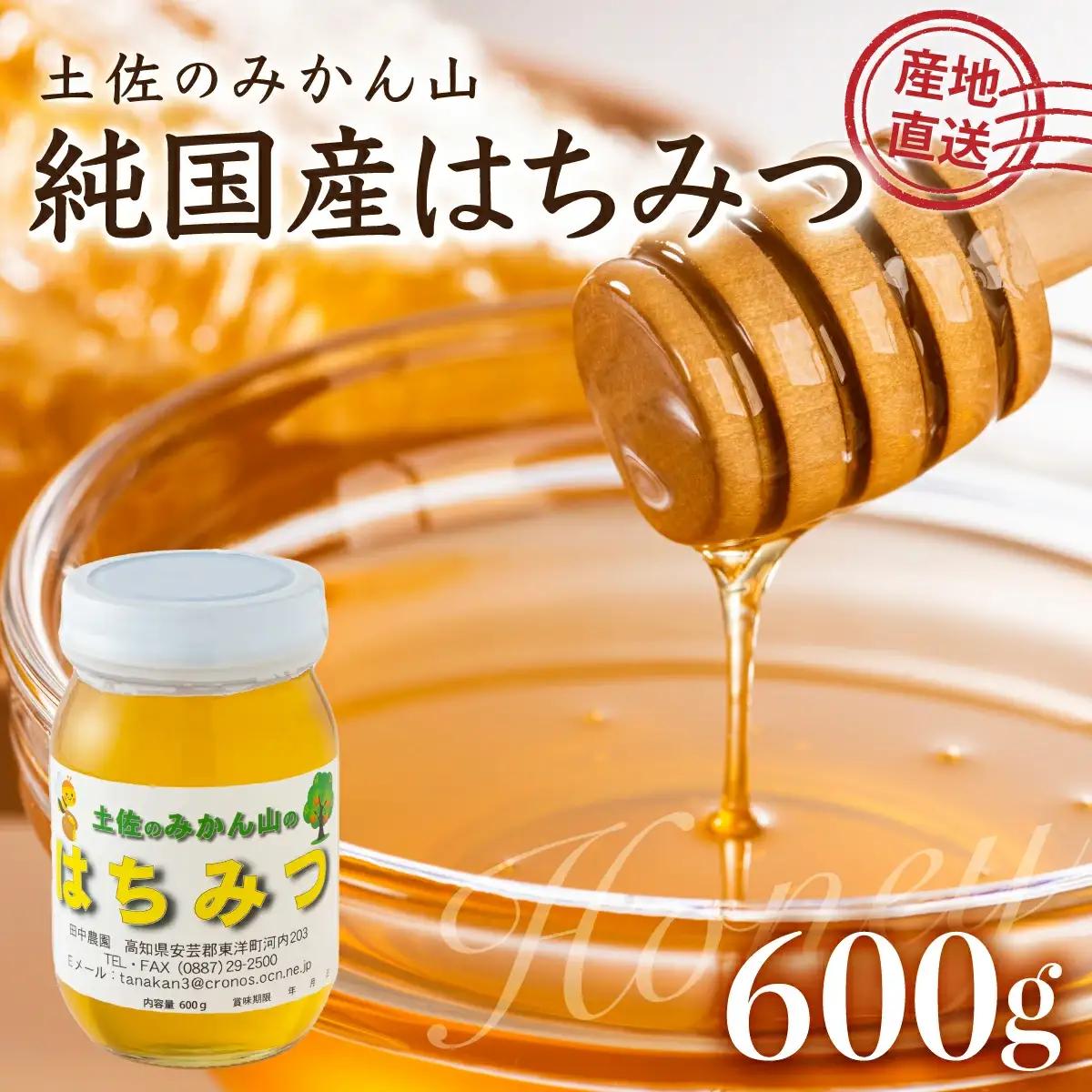 『純国産』土佐のみかん山のはちみつ＜600g＞ TA21 【田中農園】