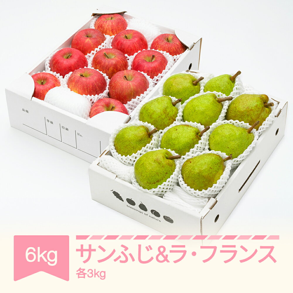 【ふるさと納税】【先行予約】りんご サンふじ 3kg ラ・フランス 3kg 計6kg 令和8年産 2026年産 山形県産 ラフランス リンゴ 林檎 セット 果物 送料無料 ns-rilax6