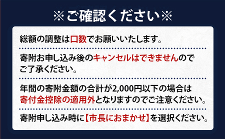 北海道 赤平市 寄附のみの応援受付 2,000円コース（返礼品なし 寄附のみ 2000円）