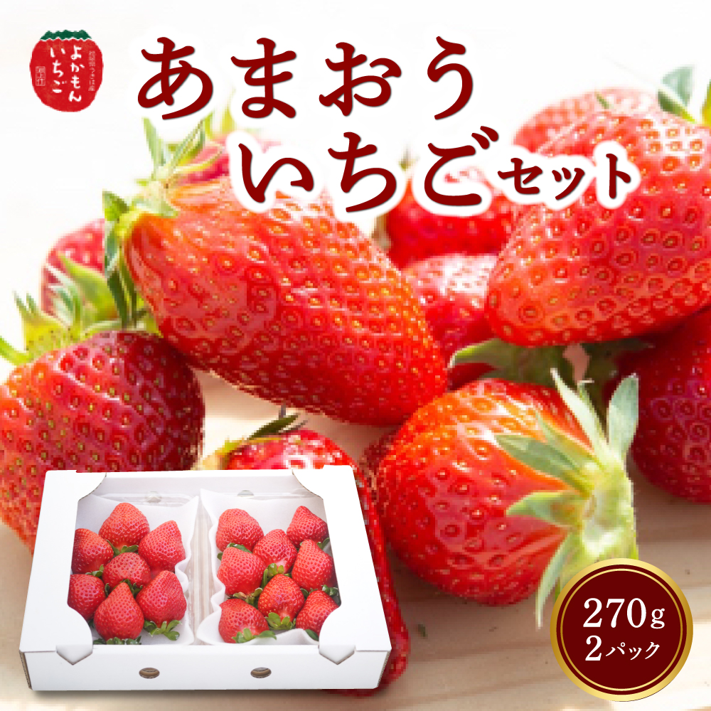 よかもんいちご あまおう苺セット2パック 2024年12月中旬から12月下旬 出荷予定