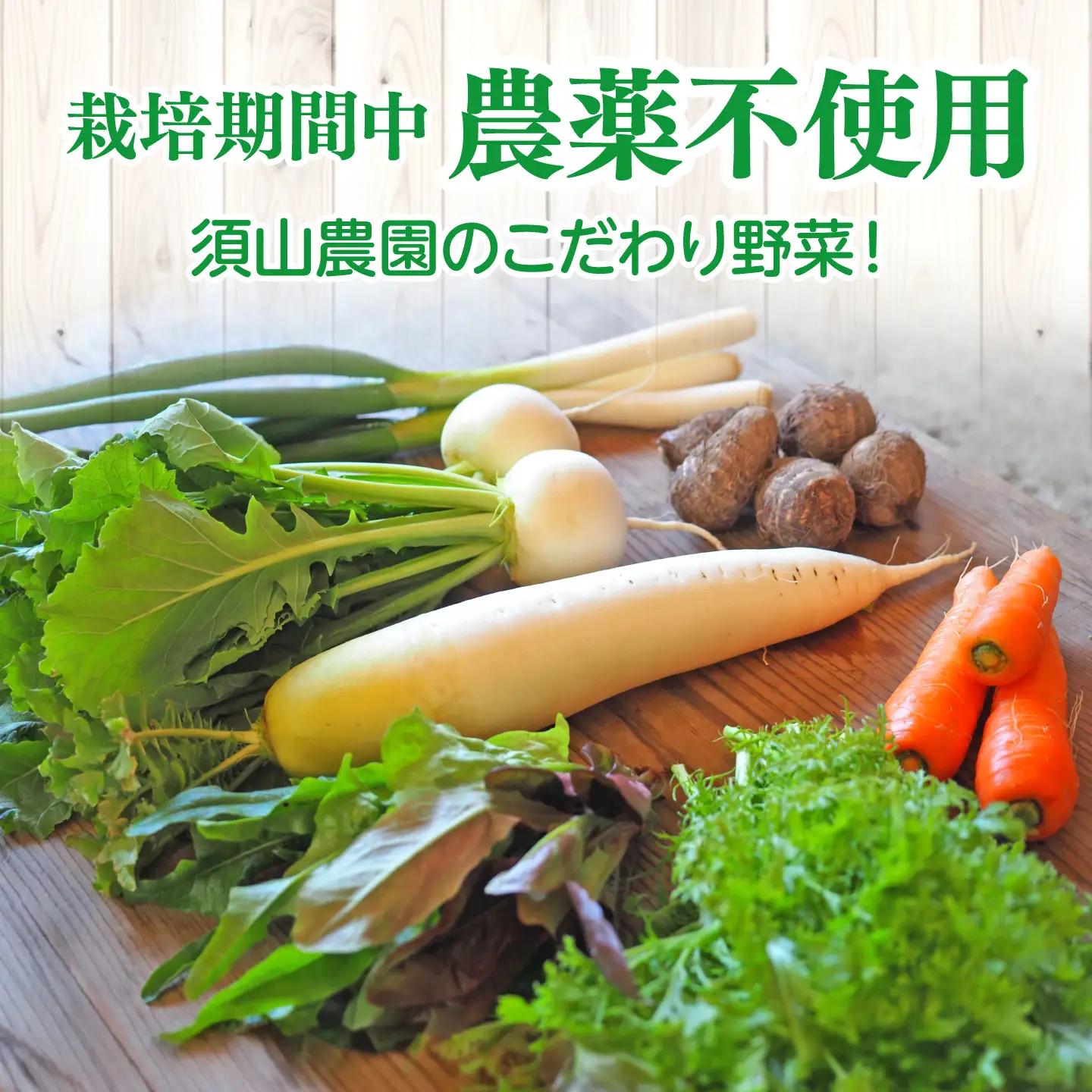 【全4回定期便】旬の野菜セットSサイズ 島根県松江市/須山農園[ALBD011]