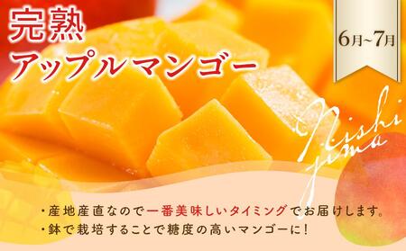 【全4回】季節 の フルーツ 定期便 | ﾌﾙｰﾂﾌﾙｰﾂﾌﾙｰﾂﾌﾙｰﾂ 定期便