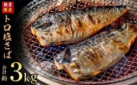 訳あり トロ 塩サバ フィレ 約3.0kg 鯖 さば 訳アリ わけあり 切り身 切身 塩さば 塩鯖 フィレ フィーレ 魚貝 魚介 人気 冷凍 冷凍食品 大容量 海鮮 家庭用 レシピ おかず おつまみ 惣菜 弁当 不揃い 規格外 傷 味噌煮 煮付け 竜田揚げ 南蛮漬け グルメ 贈答 贈物 ギフト 長期保存 小分け 炊き込み お取り寄せ ふるさと納税 ふるさと納税鯖 送料無料 千葉県 銚子市 飯田商店