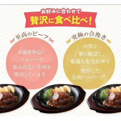 Z61-31 どっちのハンバーグ!?デミグラスソース20個セット（ビーフ・合挽 各10個） ハンバーグ