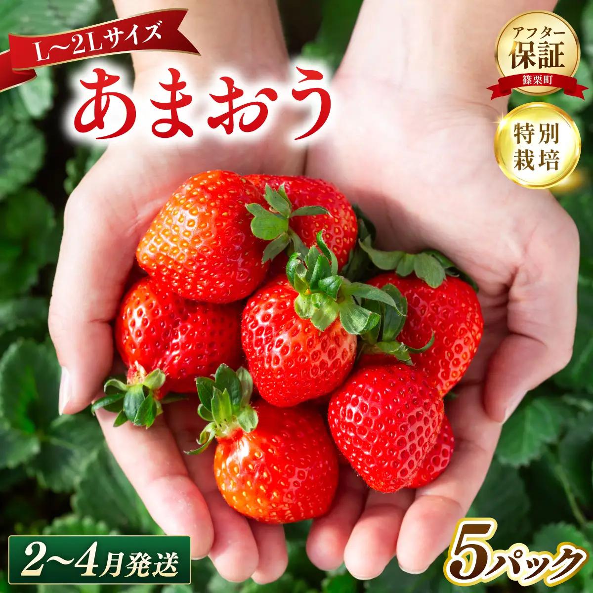 いちご 福岡県産 特別栽培 あまおう L~2Lサイズ（少し小ぶりサイズ）約1425g（約285g×5パック）【2～4月発送】| 農園直送 アフター保証 先行予約 福岡産 送料無料 ケーキ ギフト お祝い 限定 季節限定 UN015