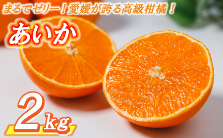 【紅まどんなと同品種】 高級 みかん あいか 2kg ＜11月中旬〜発送＞  愛媛県松山市【AIS018】