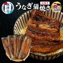 【ふるさと納税】 うなぎ 鰻 魚 蒲焼き 長焼き 5尾 約 600g 焼津 a38-006