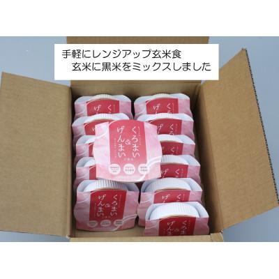 ふるさと納税 村上市 【毎月定期便】くろまい&げんまい　パックご飯　特別栽培コシヒカリ　12個入　1039027全3回 |  | 01