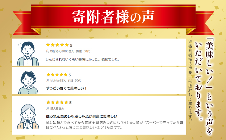 北海道名寄産 星空雪見法蓮草《2027年1月中旬-2月上旬頃出荷》名寄産 星空雪見 法蓮草 星空 雪見 法蓮草 ほうれん草 北海道 名寄市 野菜 ホウレンソウ 野菜ソムリエ やさい ---nayoro