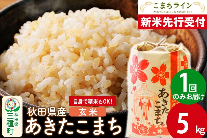 
                  《新米》【玄米】あきたこまち 一等米 5kg 秋田県産 令和8年産  こまちライン [秋田 お米 米どころ あきたこまち こまちライン]
                