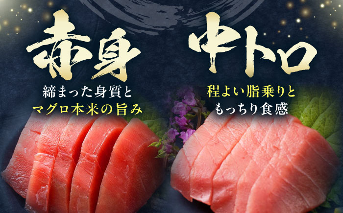 【全12回定期便】対馬産 本マグロ 600g（赤身300g、中トロ300g） ≪対馬市≫【桐谷商店】 トロの華 対馬 新鮮 マグロ 赤身 トロ 鮪 刺身 [WAQ070]