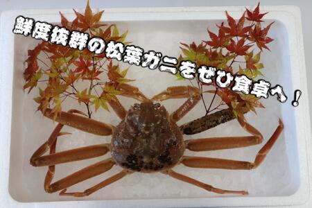 鳥取県産　生　松葉ガニ訳アリ(800g）（2～3人前）