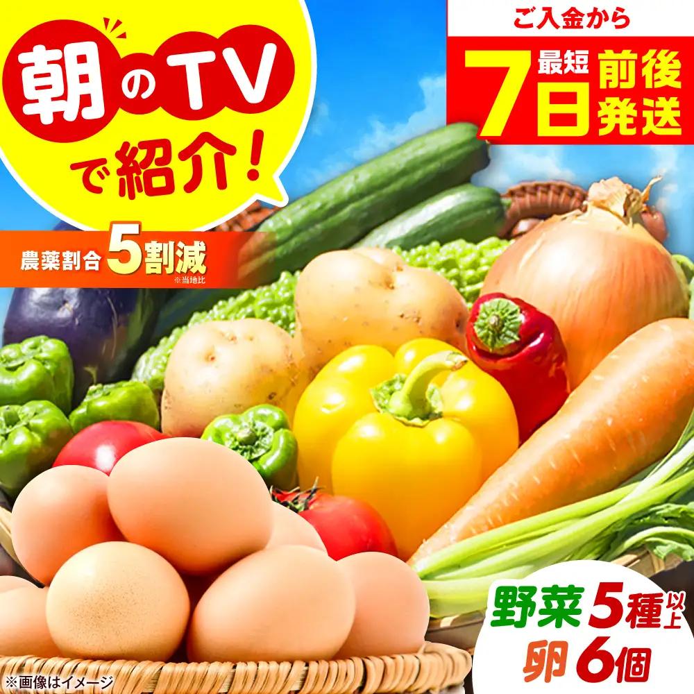 平飼い卵＆旬のお野菜セット ベジ彩ファーム [AOEJ004] 野菜セット