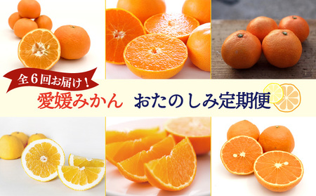 愛媛みかん おたのしみ定期便 全6回 紅まどんな 入り みかん 【KK335】