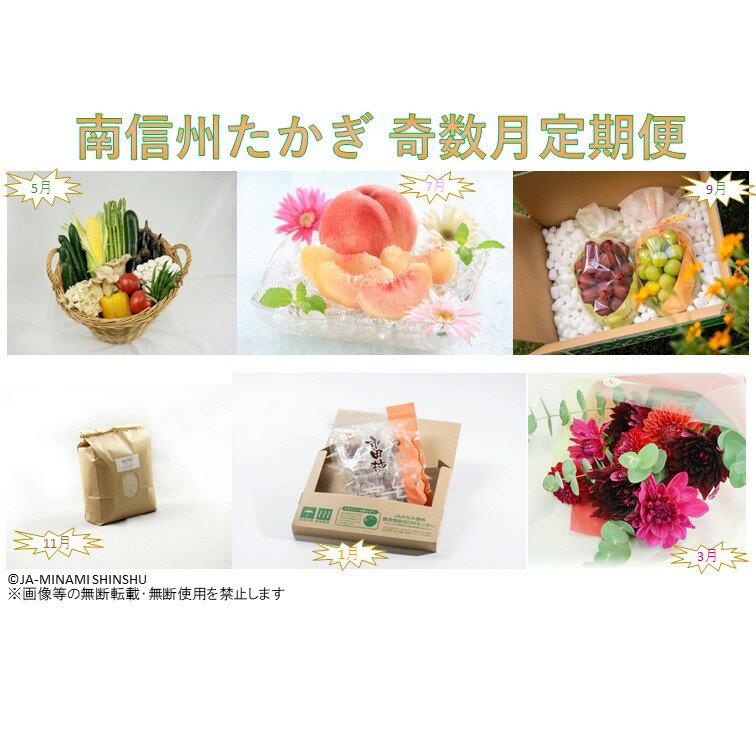【ふるさと納税】【令和7年度発送先行予約品】7-J36 【定期便】南信州たかぎ 奇数月定期便 野菜 きのこ 桃 あかつき ぶどう シャインマスカット クイーンルージュ 米 コシヒカリ 市田柿 干柿 干し柿 花束 ダリア