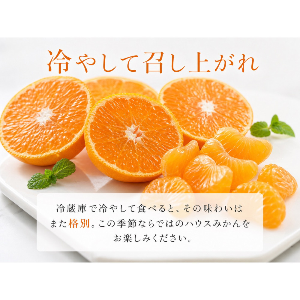 赤秀品 紀州和歌山ハウスみかん 2.5kg［2027年6月末頃～2027年7月中旬頃に順次発送］［UT87］