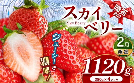 【先行予約】スカイベリー（贈答向け）【2月発送】280ｇ×2ｐ×2箱 | 贈答品 プレゼント 新鮮 完熟 いちご 旬  苺 高級 産地直送 人気 高評価 真岡市 栃木県 送料無料