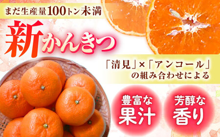 【ご家庭用】 津之望約3kg（つののぞみ） 長与町/果豊園[ECL008]