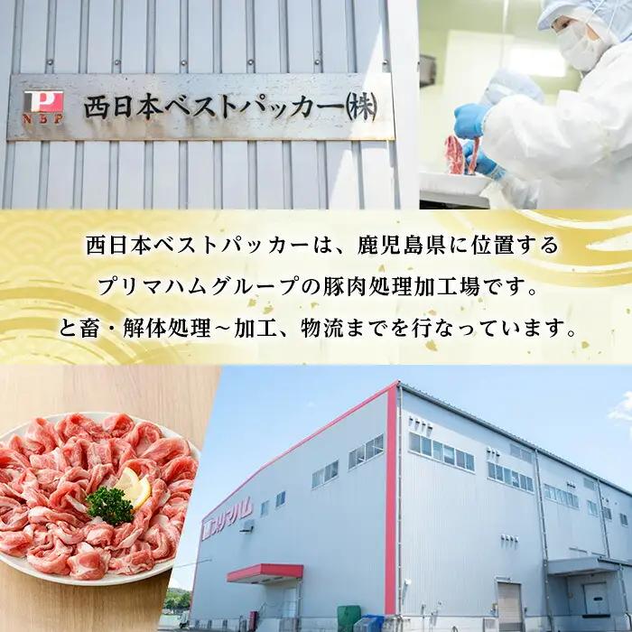 3か月定期便 豚肉 豚ロース 豚バラ 鹿児島県産 豚肉 300g × 各3P × 3回 生姜焼き 焼肉 に おすすめ 【01-110-26-TK】