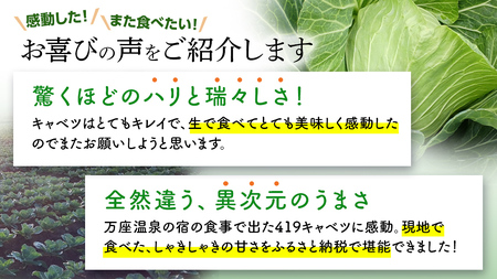 ＜7月中旬発送開始＞ 【 特選 】 まぼろしの419キャベツ 2玉 [AL020tu]