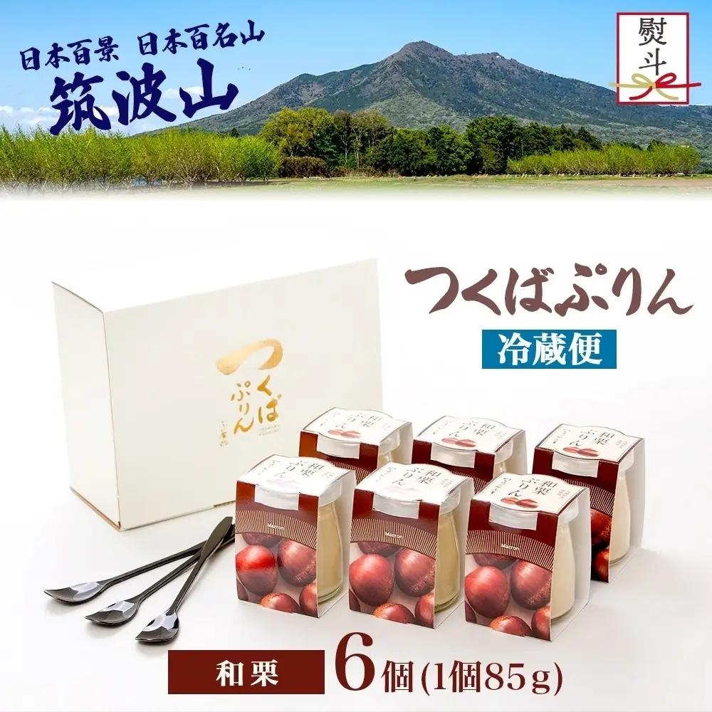 無地熨斗 つくばぷりん 和栗ぷりん 6個 プリン ぷりん 和栗 くり クリ 栗 牛乳 ミルク 卵 とろける スイーツ 贅沢 洋菓子 おやつ 冷菓 和スイーツ ご褒美 デザート 人気 グルメ お取り寄せ