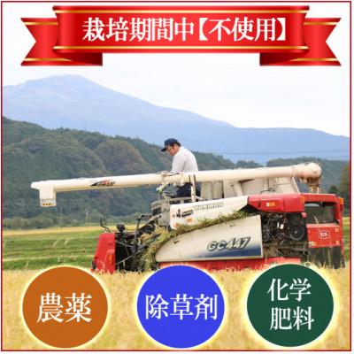 ふるさと納税 酒田市 栽培期間中農薬不使用 コシヒカリ 玄米 10kg 大粒LLサイズ以上厳選【令和7年産】 |  | 02