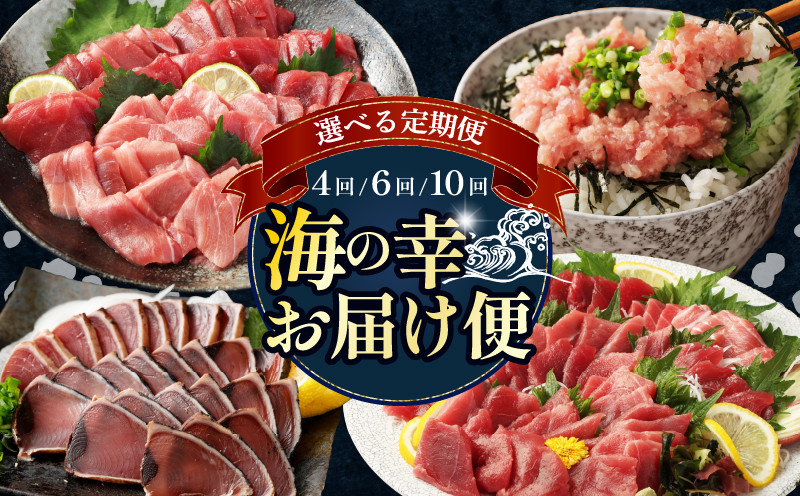 
            【 選べる定期便 】 タカシン水産厳選 海の幸お届けセット まぐろ カツオのたたき ネギトロ 中トロ 刺身 海鮮 鰹 冷凍 魚 海産物 魚介類 高知県 まぐろたたき 鮪 藁焼き わら焼き タカシン定期便 海鮮定期便 頒布会
          