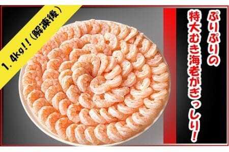 特大ムキエビ 1.4kg_【G0334】