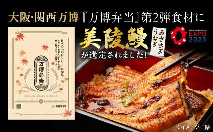 【全6回定期便】鰻 鰻の蒲焼 2尾/ 美陵鰻 鰻 うなぎ ウナギ 蒲焼 蒲焼き かば焼き かばやき 白焼き 白焼 しろやき しらやき 特大 肉厚 うな重 うな丼 ひつまぶし 惣菜 おかず タレ 山椒 