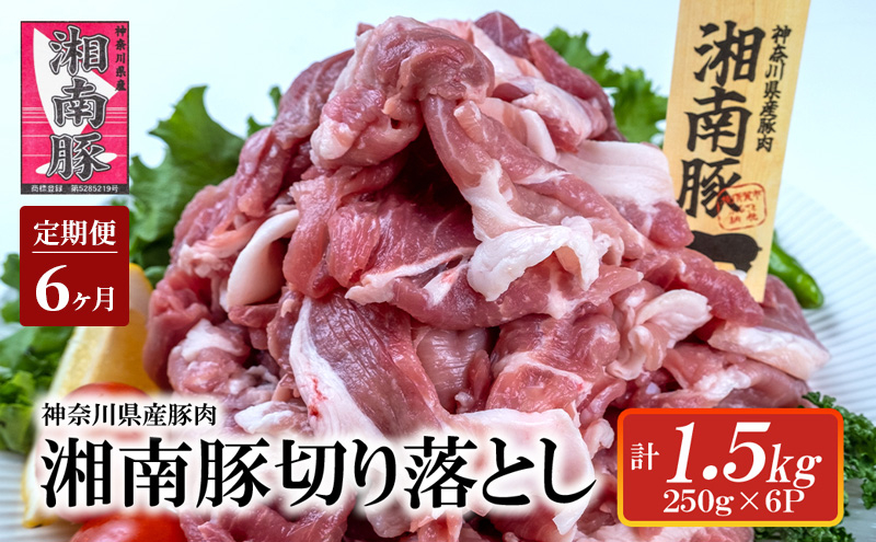 
            【6ヵ月 定期便】湘南豚　切り落し　1.5kg【神奈川県産豚】 豚肉 切り落とし 国産 肉 ポーク 小分け 250g 冷凍 生姜焼き 野菜炒め 豚汁 豚丼 人気 おすすめ 藤沢市
          